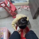 송이 어린이집 이미지