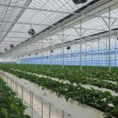 손가네 농장 이미지