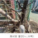 사하구-38 네이버블로그