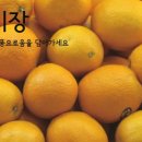 용문시장길 이미지