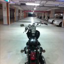 데이스타 이미지