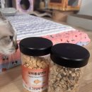 건강한펫 이미지