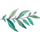 시현펫살롱 이미지