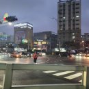 고양이호텔 윤집사 이미지