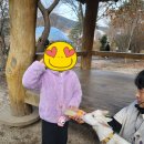 천국염소 | 가평 아침고요가족동물원 후기｜아이와 반나절 코스·먹이주기·아기염소 분유체험 완전정리