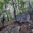 이정표농장 이미지