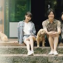 태풍민박 이미지