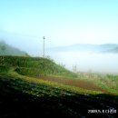 황정농장 이미지