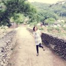 섬진강 솔밭이 보이는 풍경 이미지