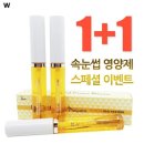 지지인터내셔널 이미지