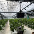 뜰위에농장 이미지