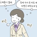 수&연컬렉션