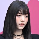 미모고양이 이미지