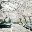 동대신역 이미지