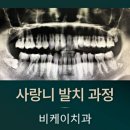 비케이치과의원 이미지