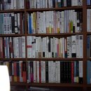 씨에세이 이미지