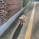 연지동물병원 이미지