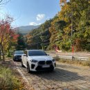 평지못(1) 이미지