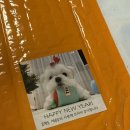 재롱이네 | 2026 재롱이 달력 후기｜사무실 달력 힐링템