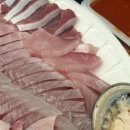 금학목장 | 2026년 2월 8일 일요일 띠별 + 별자리 + MBTI 운세 “일요일은 쉬는 연습을 하는 날이다.”