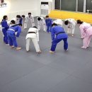 용인대 코리아 유도관 이미지