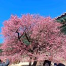 통도사로 이미지