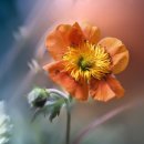 만덕그린코아1 이미지