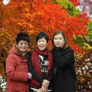 인천종합사회복지관 이미지