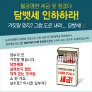 담뱃세 인하하라~ 이미지