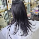 까까살롱 | 내돈내산 진해 골드핸즈헤어살롱 미용실 긴머리 컷트 후기 디자이너 가현쌤으로 예약
