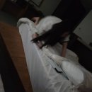 현정카 | 부산의 향기가 느껴졌던 여수여행