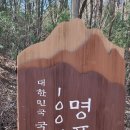 산림청 선정 100대 명품숲 [봉화 우구치리 낙엽송 숲] 이미지