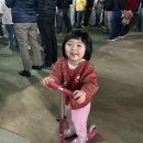 요리조리 흔들의자 | 38개월 아기랑 강릉남산벗꽃축제, 삼척맹방유채꽃축제 후기