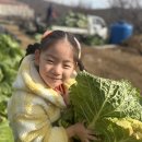 [승마&농장체험] 배추 뽑기🥬/ 말 먹이주기🥕 이미지