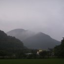 능금농장 이미지