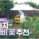 꽃피는 서정