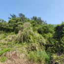 해룡공인중개사 이미지