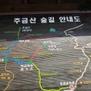 2015년 8월 8일 주금산(비금계곡) 이미지