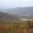 벌교흑염소 이미지