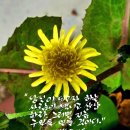 고다드