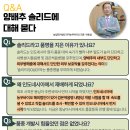 솔리드(SOLID)