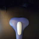 네오몰