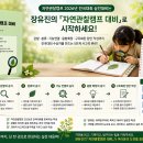 초등학생 어린이 타로, 성장 동화 시리즈…메이저 아르카나 2번 여사제(The High Priestess) 이미지