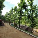 봉무공원야영장 이미지