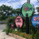 돌담 하우스 이미지