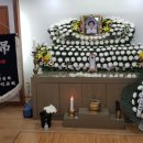 고숙자