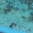 풀향기머무는집 이미지