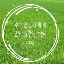 공인중개사사무소 보리 이미지