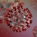 효돈초등학교 병설유치원 이미지