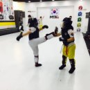 주니어 MTA 태권도장 이미지